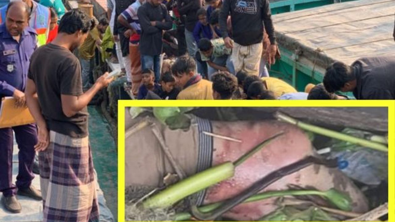 খুলনা নগরীর ৬ নম্বর ঘাট এলাকা থেকে অজ্ঞাত পরিচয়ের এক যুবকের মরদেহ উদ্ধার করেছে পুলিশ।