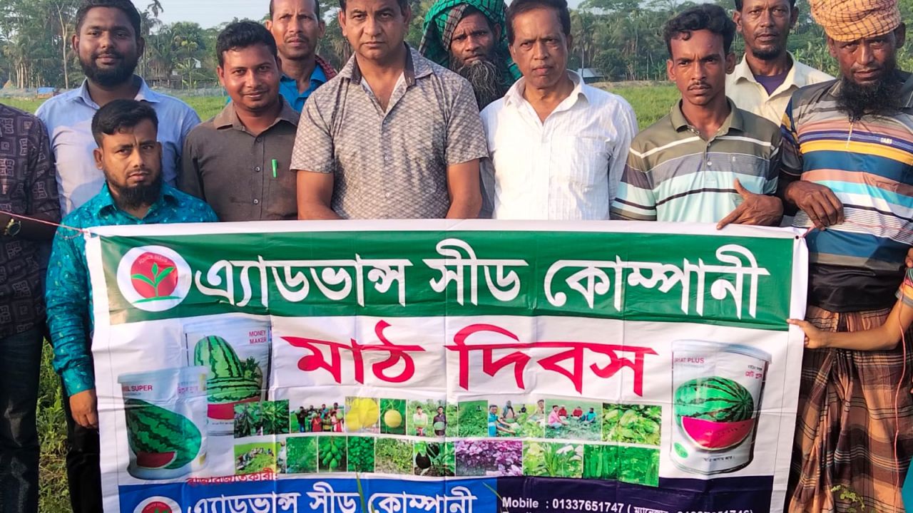 বরগুনায় উন্নত বীজ ও আধুনিক কৃষি প্রযুক্তি নিয়ে মাঠ দিবস অনুষ্ঠিত।