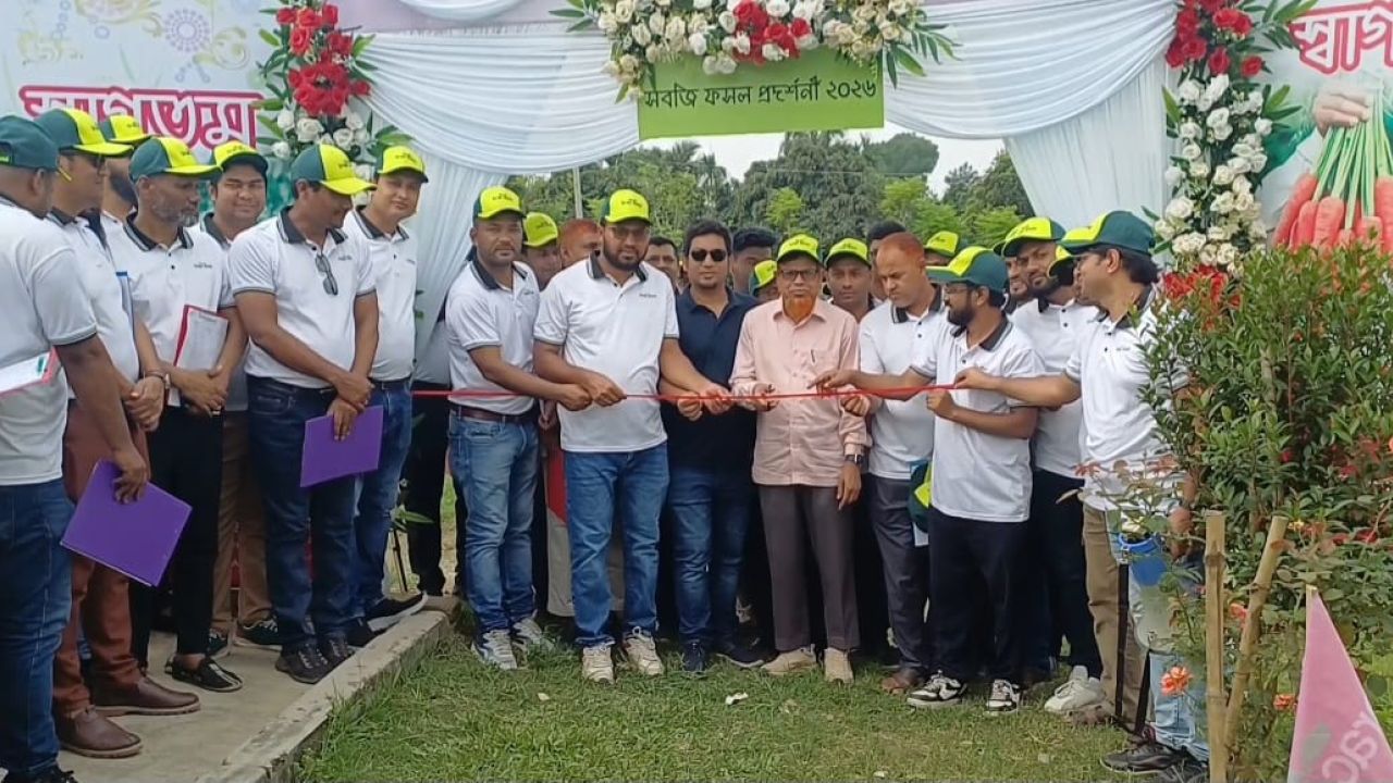 উন্নত জাতের বীজ ও আধুনিক প্রযুক্তির মেলবন্ধন: নিরাপদ সবজি উৎপাদনে ডিলারদের নতুন দিগন্ত