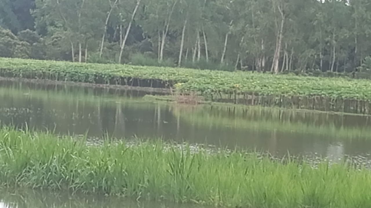 ভোমরাদহে উজানের পানিতে ভেসে জলাবদ্ধতা সৃষ্টি। 